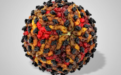 وش اسوي : أخطر 10 فيروسات في العالم للإنسان