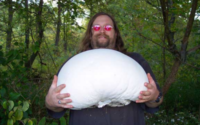 وش اسوي : أكبر فطر في العالم