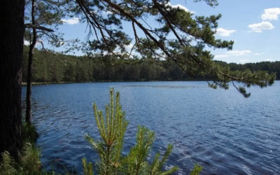 وش اسوي : اجمل 10 أماكن على وجه الأرض تغطيها الطبيعة