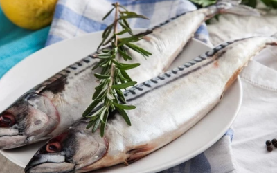 ألذ 10 أنواع من السمك في العالم