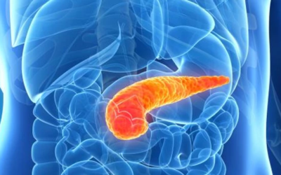 وش اسوي : علاج التهاب البنكرياس