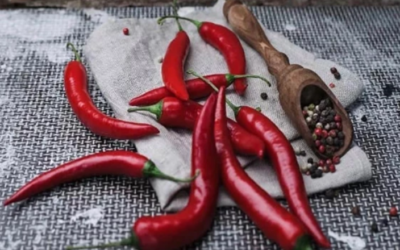 10 أطعمة لحرق دهون البطن