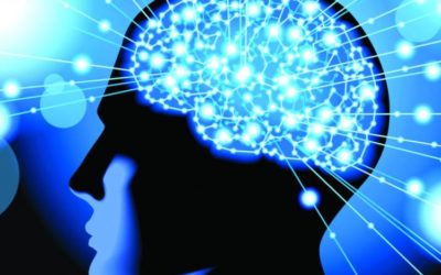 شيخوخة الدماغ