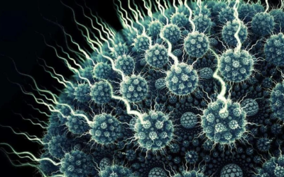 10 حقائق صادمة عن الفيروسات