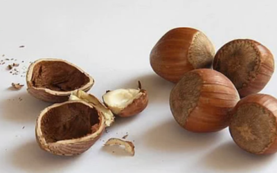 أفضل 7 مكسرات مغذية لتعزيز صحتك