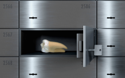 9 حقائق مثيرة للاهتمام حول الأسنان وتأثيرها على صحة الإنسان