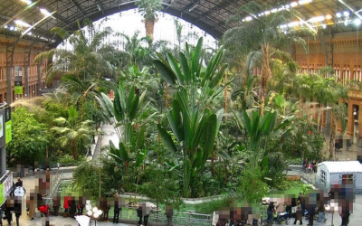 أفضل 10 محطات قطار مذهلة حول العالم