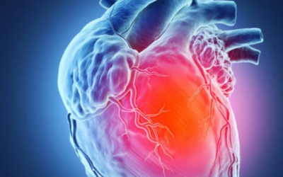 وش اسوي: معلومات عامة عن القلب