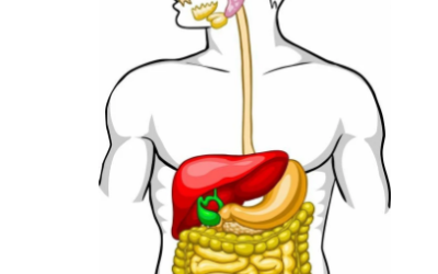 وش اسوي: الجهاز الهضمي و أمراضه