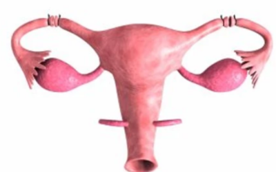 وش أسوي: سرطان قناة فالوب