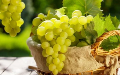 وش اسوي : فوائد العنب الأخضر للجنس