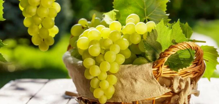 وش اسوي : فوائد العنب الأخضر للجنس