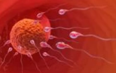 وش اسوي : ضعف الحيوان المنوى والاجهاض