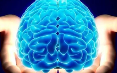 وش أسوي: الدماغ الكيميائي