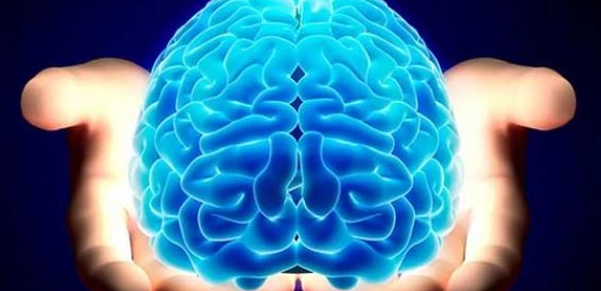 وش أسوي: الدماغ الكيميائي