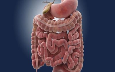 سرطان الأمعاء الدقيقة