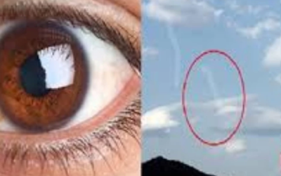 وش أسوي: عوائم العين