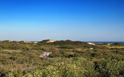 وش اسوي : أفضل 10 أماكن خالية من السيارات في العالم