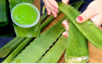 وش اسوي : تجربتي عند استخدام الصبار للشعر