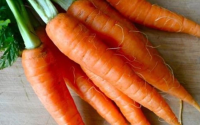 وش اسوي : هل يسبب الجزر الإمساك