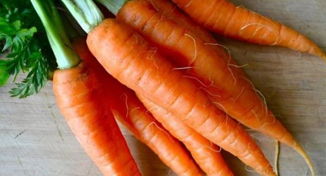 وش اسوي : هل يسبب الجزر الإمساك