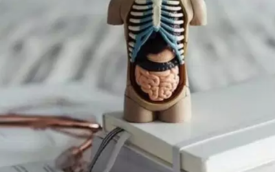 وش اسوي: اختصاص الطب البشري