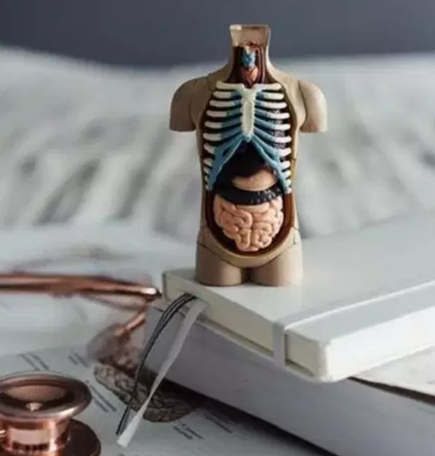 وش اسوي: اختصاص الطب البشري