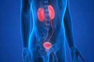 وش اسوي : نصائح للحفاظ على صحّة الكلى والمجاري البوليّة