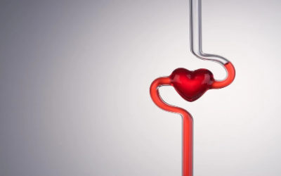 وش اسوي : التبرع بالدم أنواعه، وفوائده، وشروطه، وموانعه