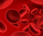 وش أسوي: فقر الدم (الأنيميا)