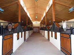 وش اسوي : مزايا وعيوب الاسطبلات والمظلات