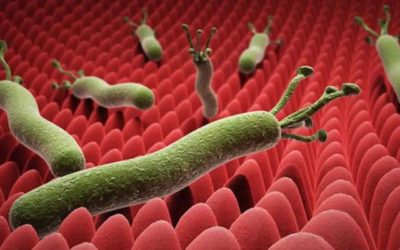 أسباب جرثومة المعدة