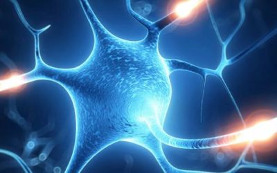 مرض الأعصاب وأسبابه