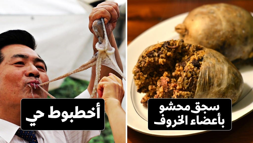 وش اسوي : تعرّف على أغرب أنواع الأطباق الشعبية حول العالم