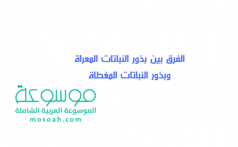 وش اسوي : الفرق بين بذور النباتات المعراة وبذور النباتات المغطاة