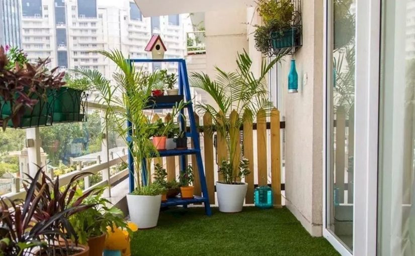 وش اسوي : اساسيات الزراعة المنزلية