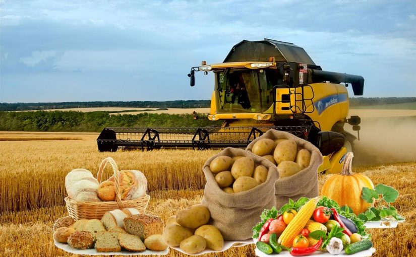 وش اسوي :اهم المحاصيل الزراعية في المملكة العربية السعودية