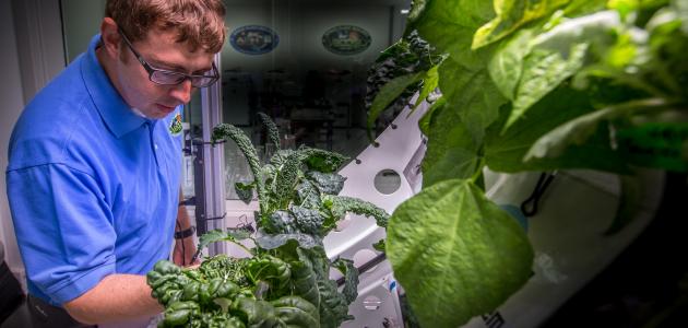 وش اسوي :معلومات عن زراعة الفضاء